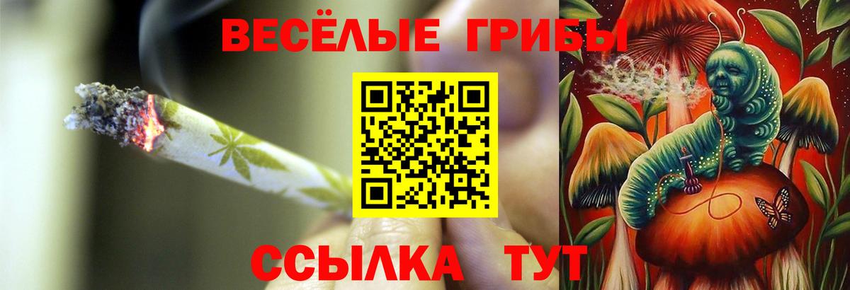 Галлюциногенные грибы Cubensis Каменка
